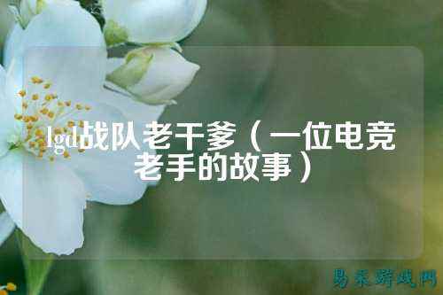 lgd战队老干爹（一位电竞老手的故事）