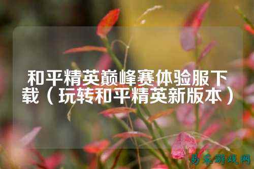 和平精英巅峰赛体验服下载（玩转和平精英新版本）