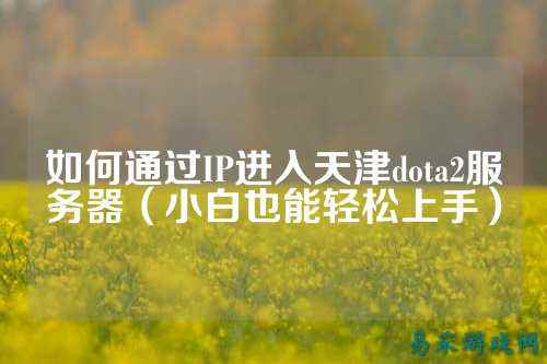 如何通过IP进入天津dota2服务器（小白也能轻松上手）
