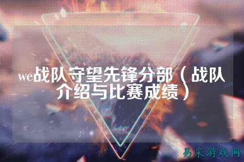 we战队守望先锋分部（战队介绍与比赛成绩）