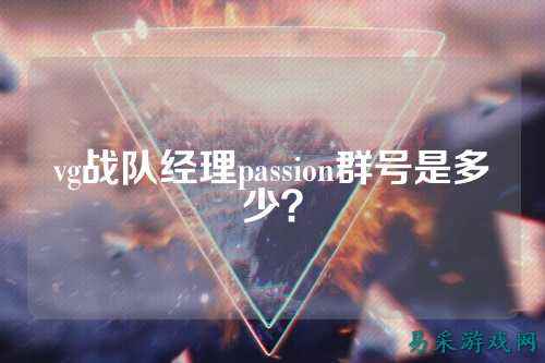 vg战队经理passion群号是多少？