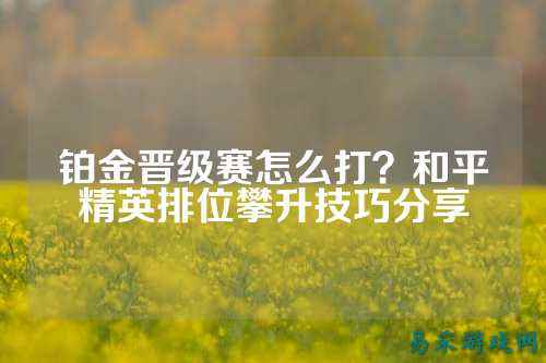 铂金晋级赛怎么打？和平精英排位攀升技巧分享