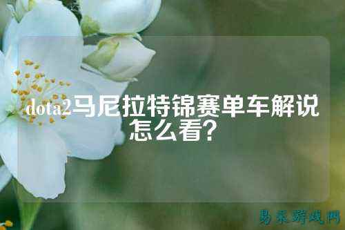 dota2马尼拉特锦赛单车解说怎么看?
