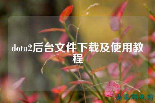 dota2后台文件下载及使用教程