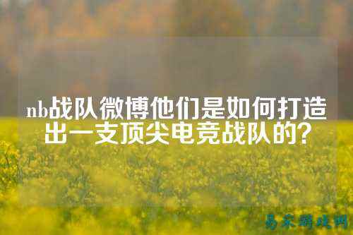 nb战队微博他们是如何打造出一支顶尖电竞战队的？