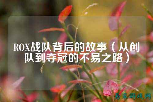 ROX战队背后的故事（从创队到夺冠的不易之路）
