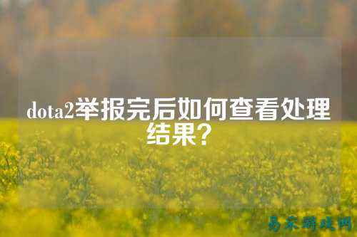 dota2举报完后如何查看处理结果?