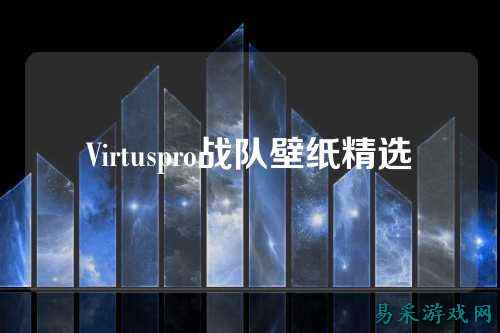 Virtuspro战队壁纸精选