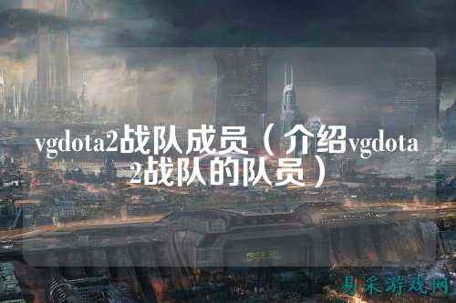 vgdota2战队成员（介绍vgdota2战队的队员）