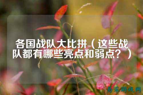 各国战队大比拼（这些战队都有哪些亮点和弱点？）