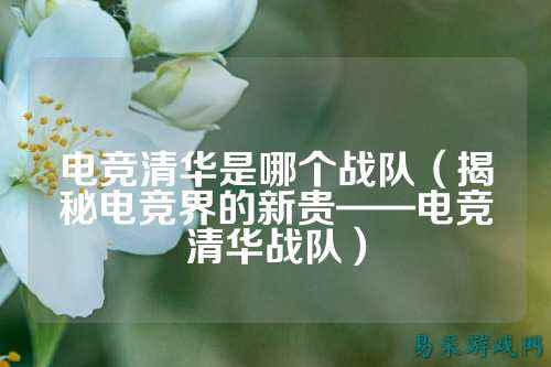 电竞清华是哪个战队（揭秘电竞界的新贵——电竞清华战队）