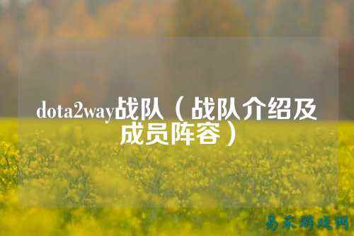 dota2way战队（战队介绍及成员阵容）