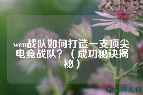 wen战队如何打造一支顶尖电竞战队？（成功秘诀揭秘）