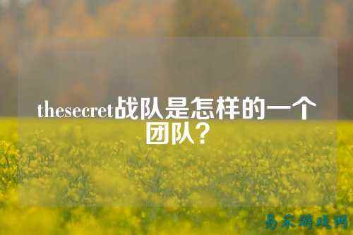 thesecret战队是怎样的一个团队？