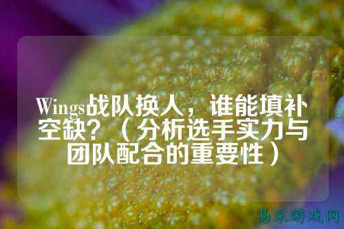 Wings战队换人，谁能填补空缺？（分析选手实力与团队配合的重要性）