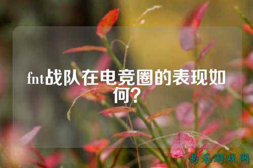 fnt战队在电竞圈的表现如何？