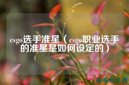 csgo选手准星（csgo职业选手的准星是如何设定的）