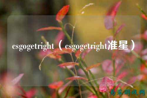 csgogetright（csgogetright准星）