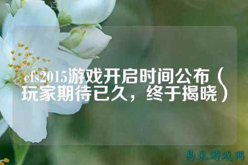 cfs2015游戏开启时间公布（玩家期待已久，终于揭晓）