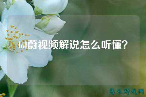 lol蔚视频解说怎么听懂?