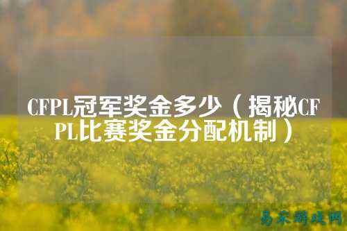 CFPL冠军奖金多少(揭秘CFPL比赛奖金分配机制)