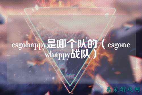 csgohappy是哪个队的（csgonewhappy战队）