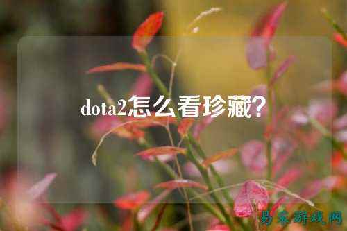 dota2怎么看珍藏？