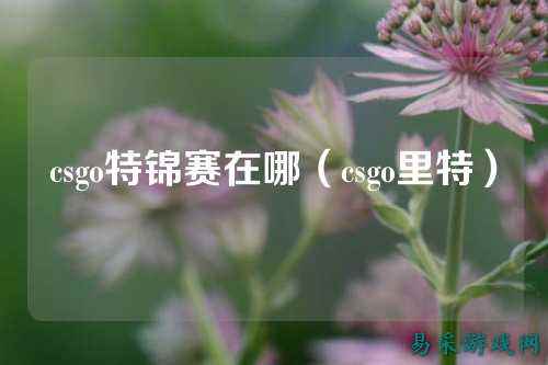csgo特锦赛在哪（csgo里特）