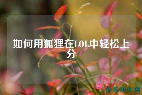 如何用狐狸在LOL中轻松上分
