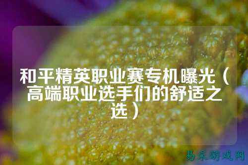 和平精英职业赛专机曝光（高端职业选手们的舒适之选）