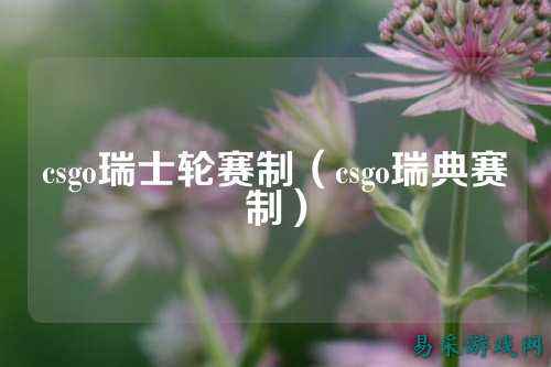 csgo瑞士轮赛制（csgo瑞典赛制）