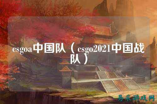 csgoa中国队（csgo2021中国战队）