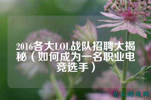 2016各大LOL战队招聘大揭秘（如何成为一名职业电竞选手）