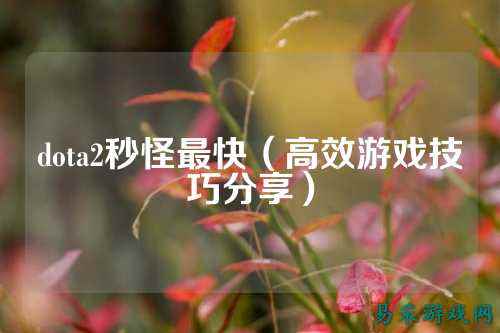 dota2秒怪最快（高效游戏技巧分享）