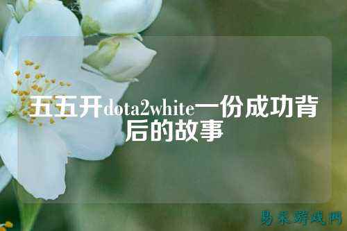 五五开dota2white一份成功背后的故事