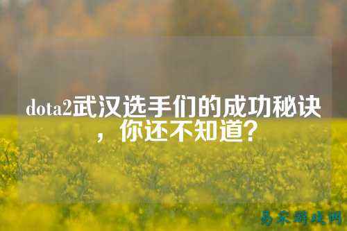 dota2武汉选手们的成功秘诀，你还不知道？