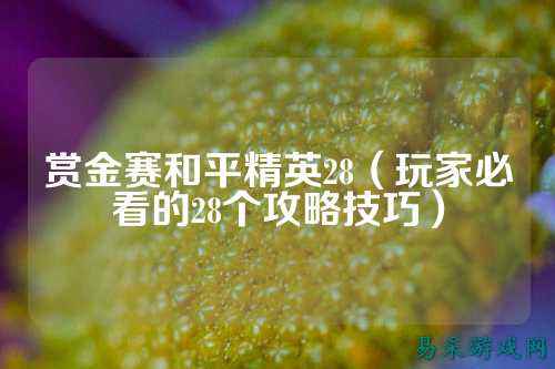 赏金赛和平精英28(玩家必看的28个攻略技巧)