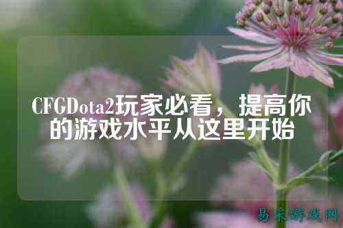CFGDota2玩家必看，提高你的游戏水平从这里开始