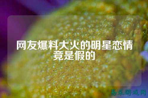 网友爆料大火的明星恋情竟是假的