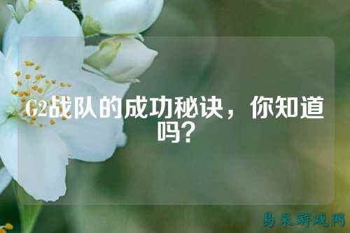 G2战队的成功秘诀，你知道吗？