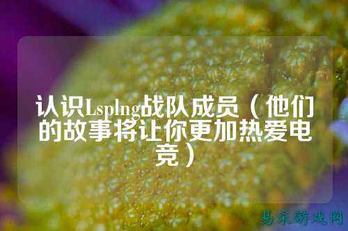 认识Lsplng战队成员（他们的故事将让你更加热爱电竞）