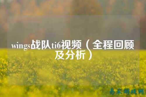 wings战队ti6视频（全程回顾及分析）