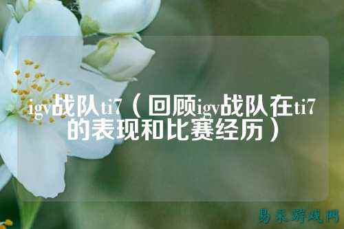 igv战队ti7（回顾igv战队在ti7的表现和比赛经历）