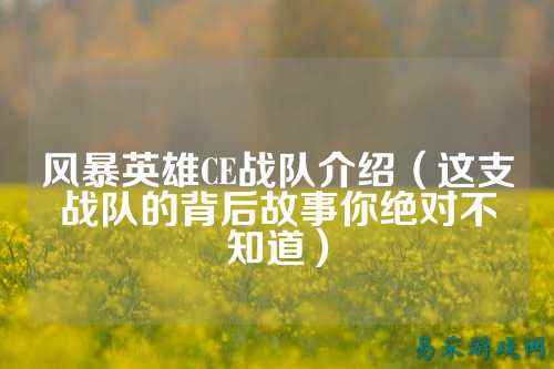 风暴英雄CE战队介绍（这支战队的背后故事你绝对不知道）