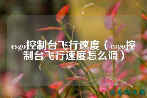 csgo控制台飞行速度(csgo控制台飞行速度怎么调)