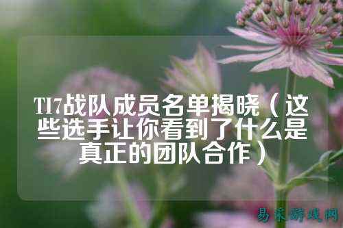 TI7战队成员名单揭晓（这些选手让你看到了什么是真正的团队合作）