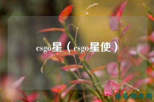 csgo星（csgo星使）