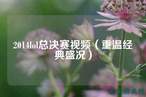 2014lol总决赛视频（重温经典盛况）
