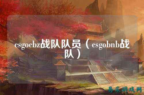 csgocbz战队队员（csgobnb战队）