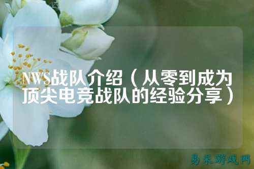 NWS战队介绍（从零到成为顶尖电竞战队的经验分享）